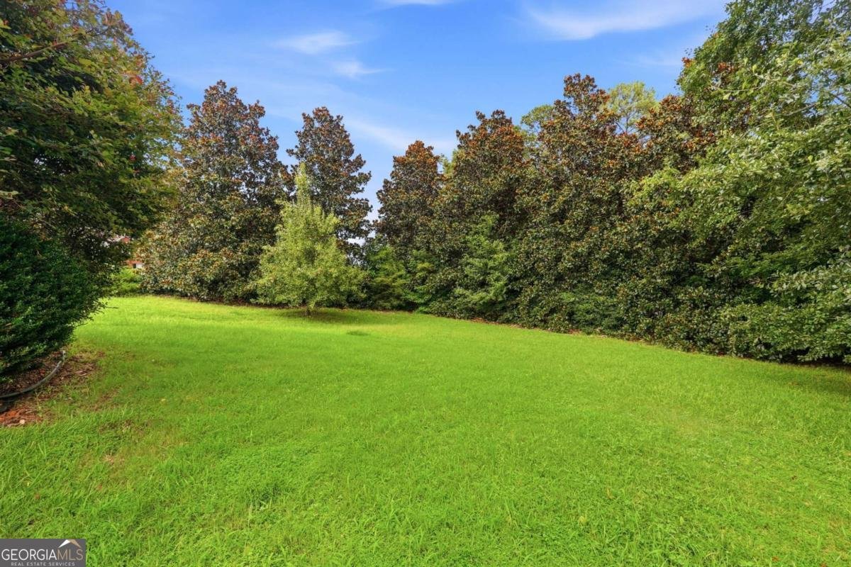 101 Moss Pointe Drive Mcdonough - Photo 49