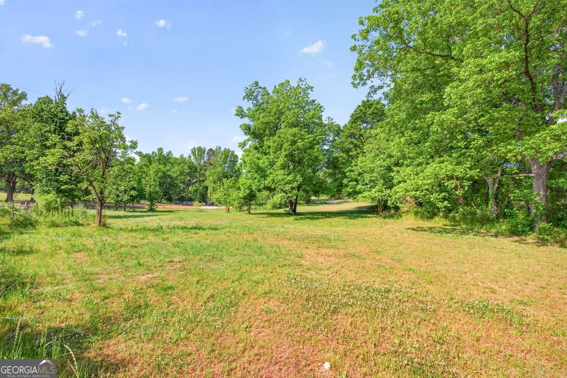 1380 Dunlap Road Winterville - Photo 59