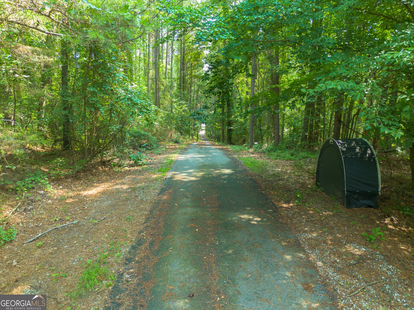 315 Double Branch Road Danielsville - Photo 7