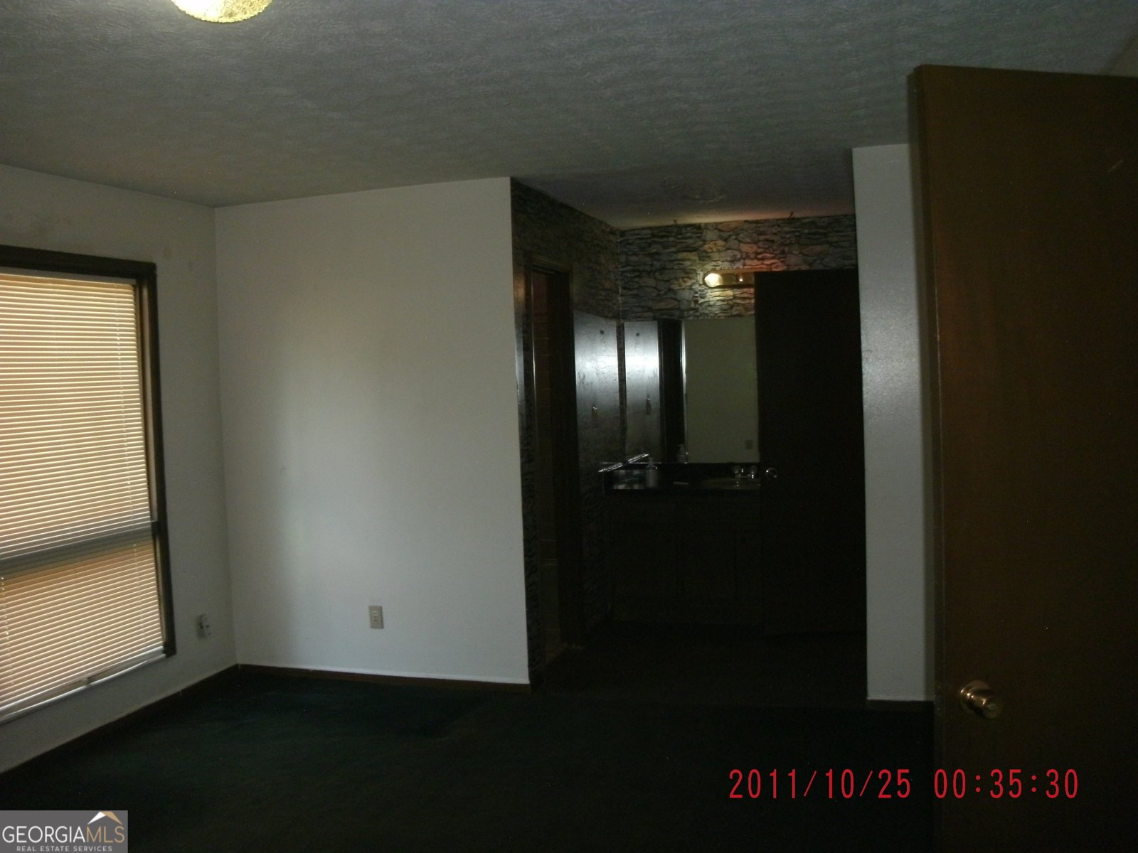 5435 Morning Creek Circle South Fulton - Photo 19