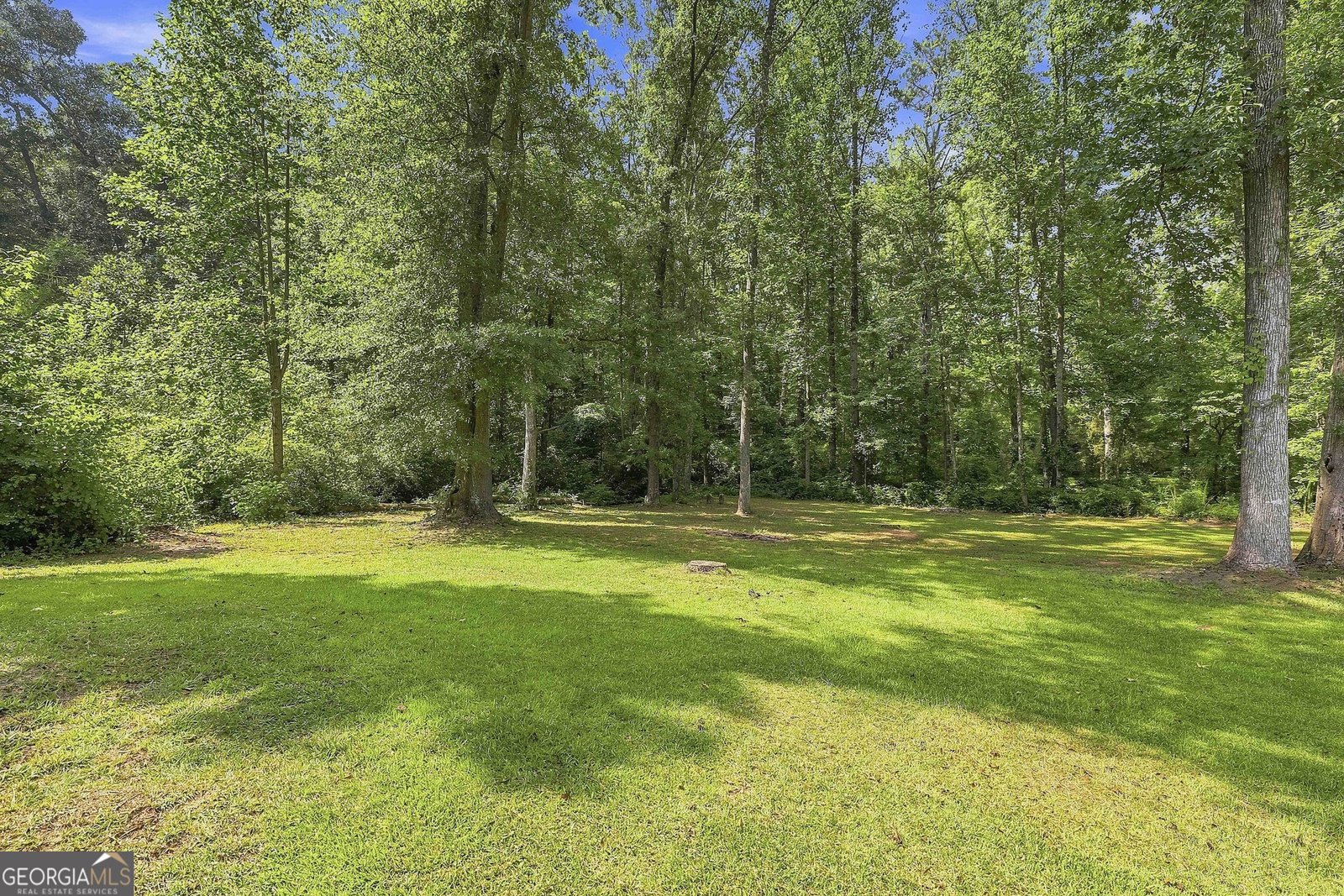 20 Willow Court Newnan - Photo 28