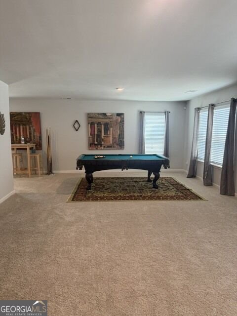 1476 Harlequin Way Stockbridge - Photo 20