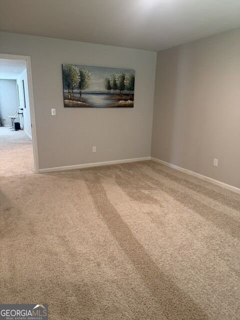1476 Harlequin Way Stockbridge - Photo 24