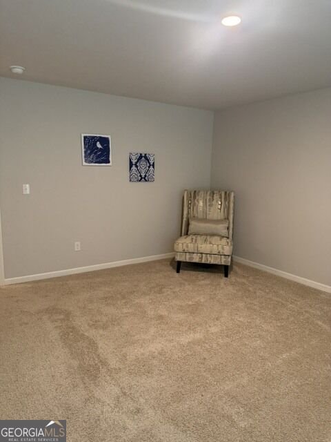 1476 Harlequin Way Stockbridge - Photo 29