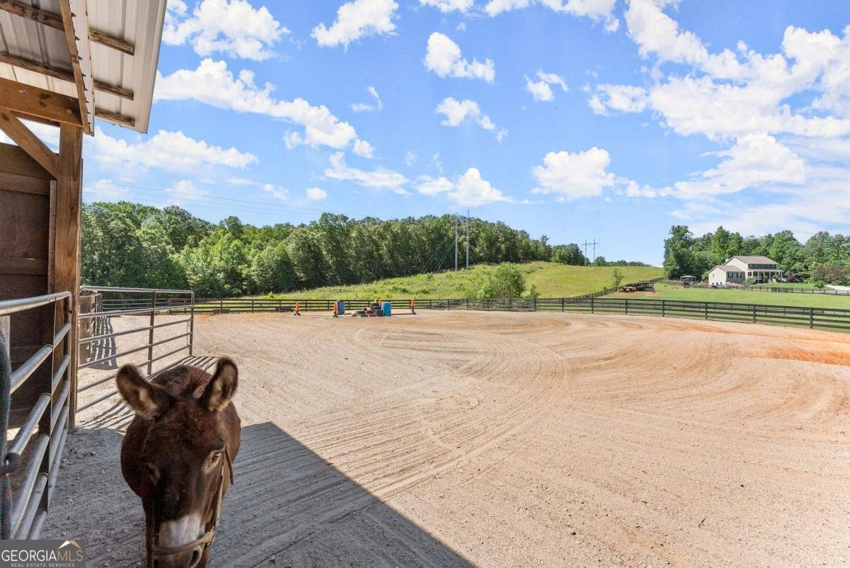 149 Ratcliff Drive Dawsonville - Photo 53