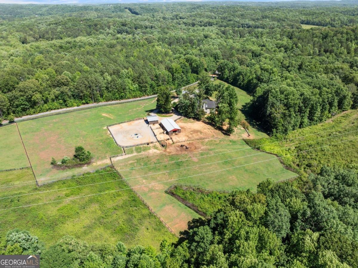 149 Ratcliff Drive Dawsonville - Photo 58