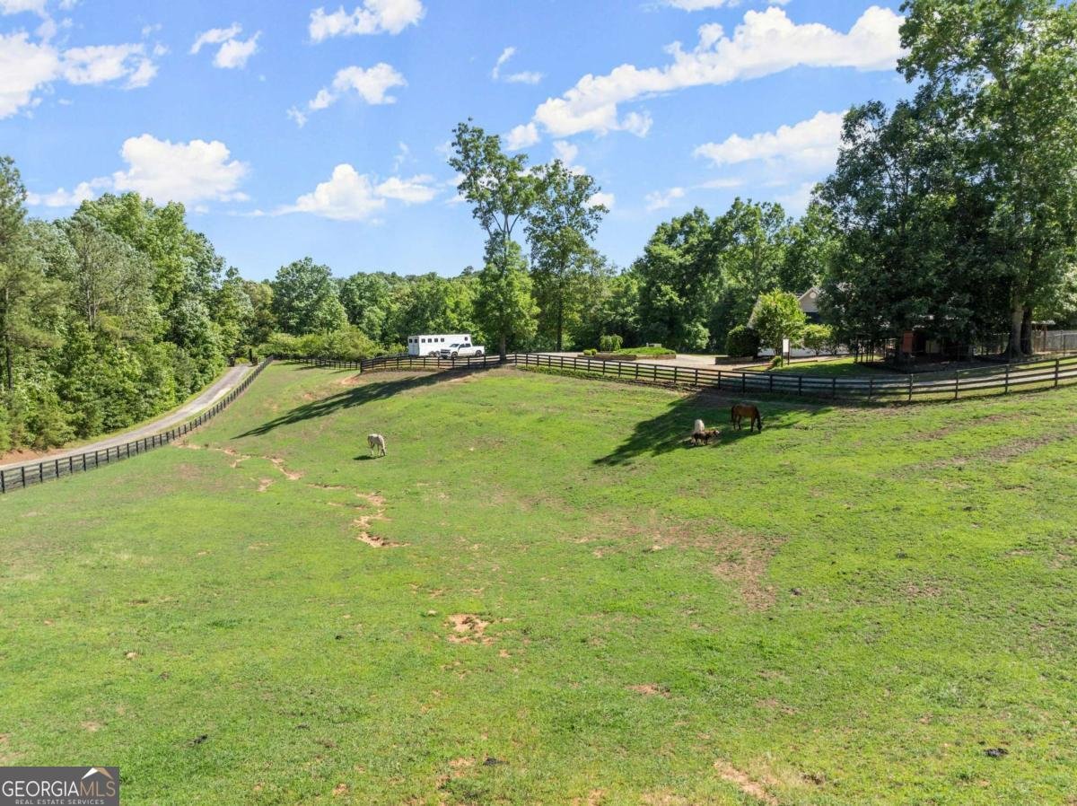 149 Ratcliff Drive Dawsonville - Photo 63