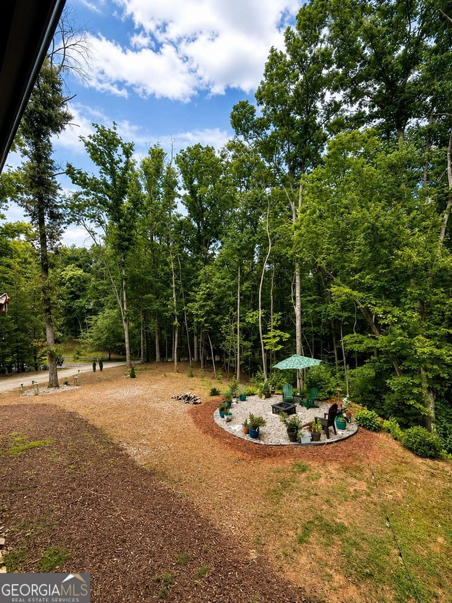 191 Oakwood Road Blairsville - Photo 23