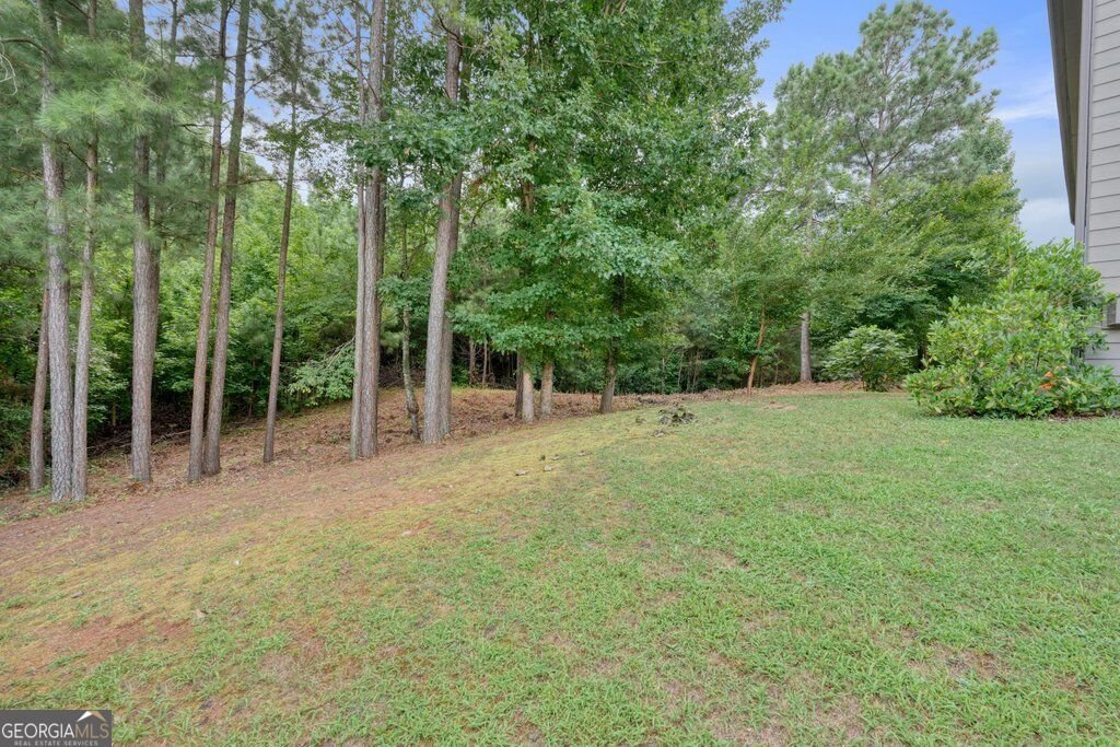 183 Rushing Creek Trail Dallas - Photo 57