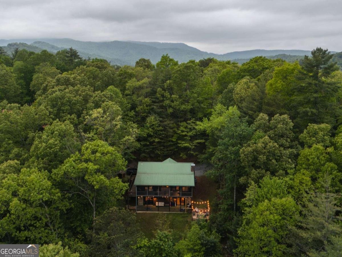335 Old Aska Road Blue Ridge - Photo 42