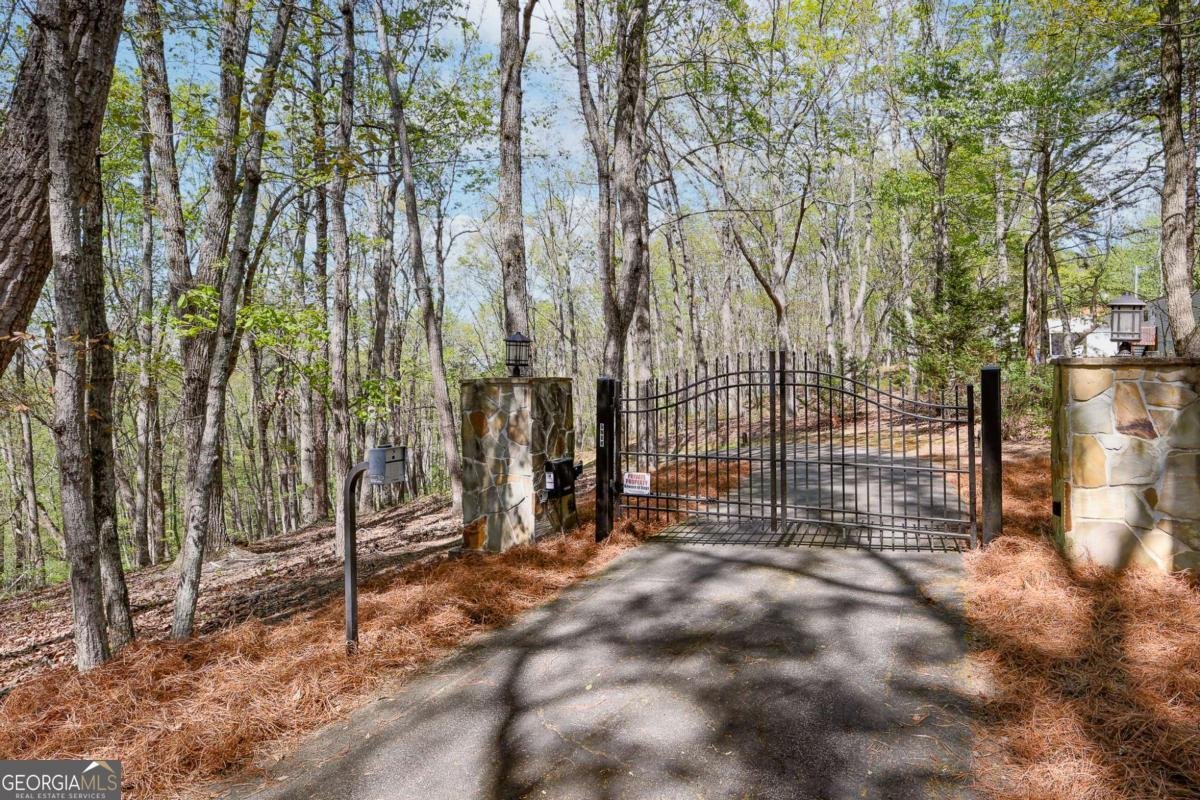 6795 Dawg Ridge Dawsonville - Photo 11