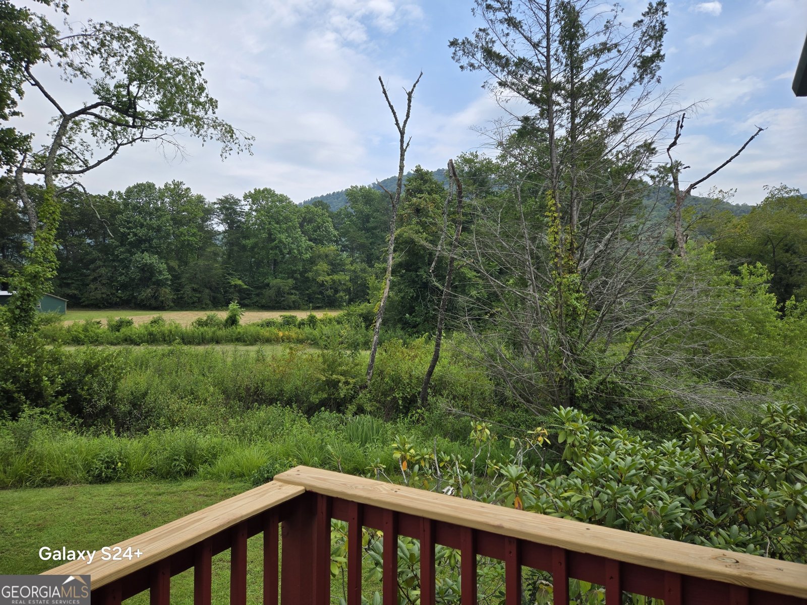 446 River Vista Drive Dillard - Photo 21