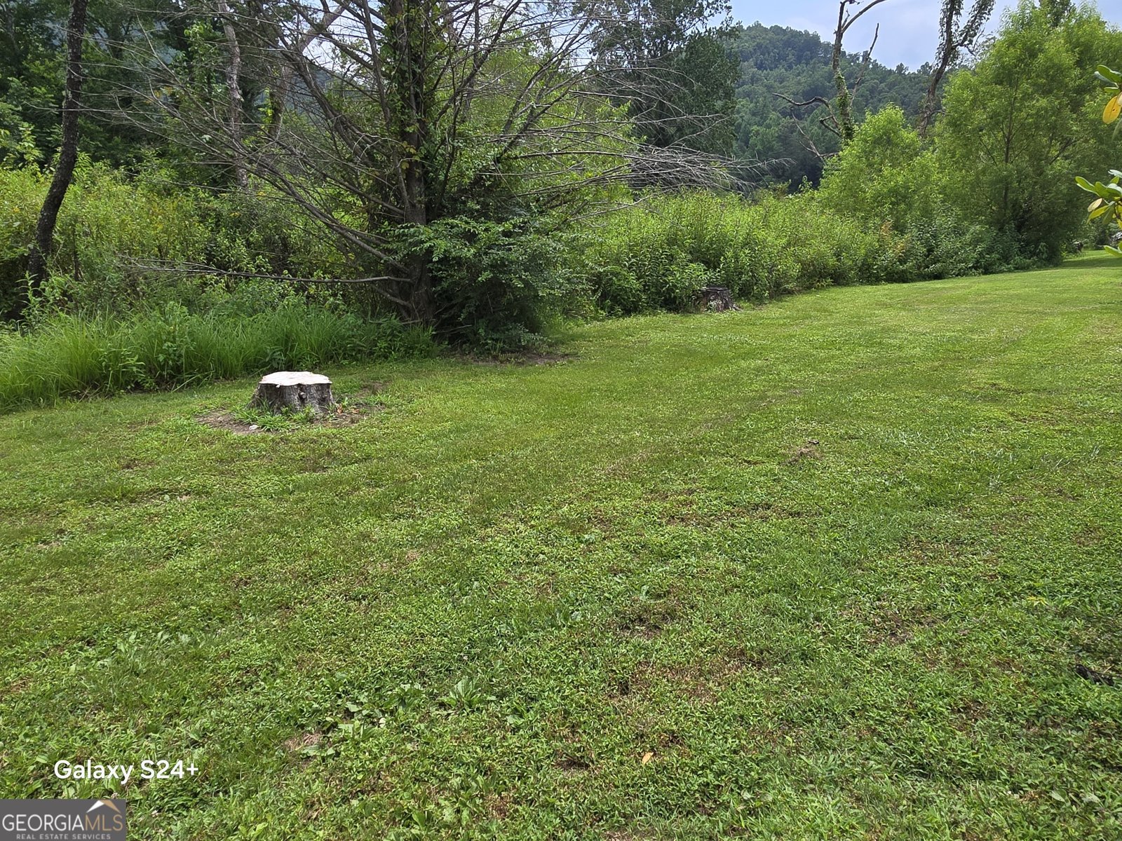 446 River Vista Drive Dillard - Photo 22