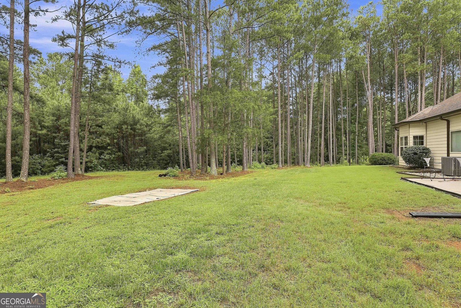 19 Rock House Estates Drive Senoia - Photo 58