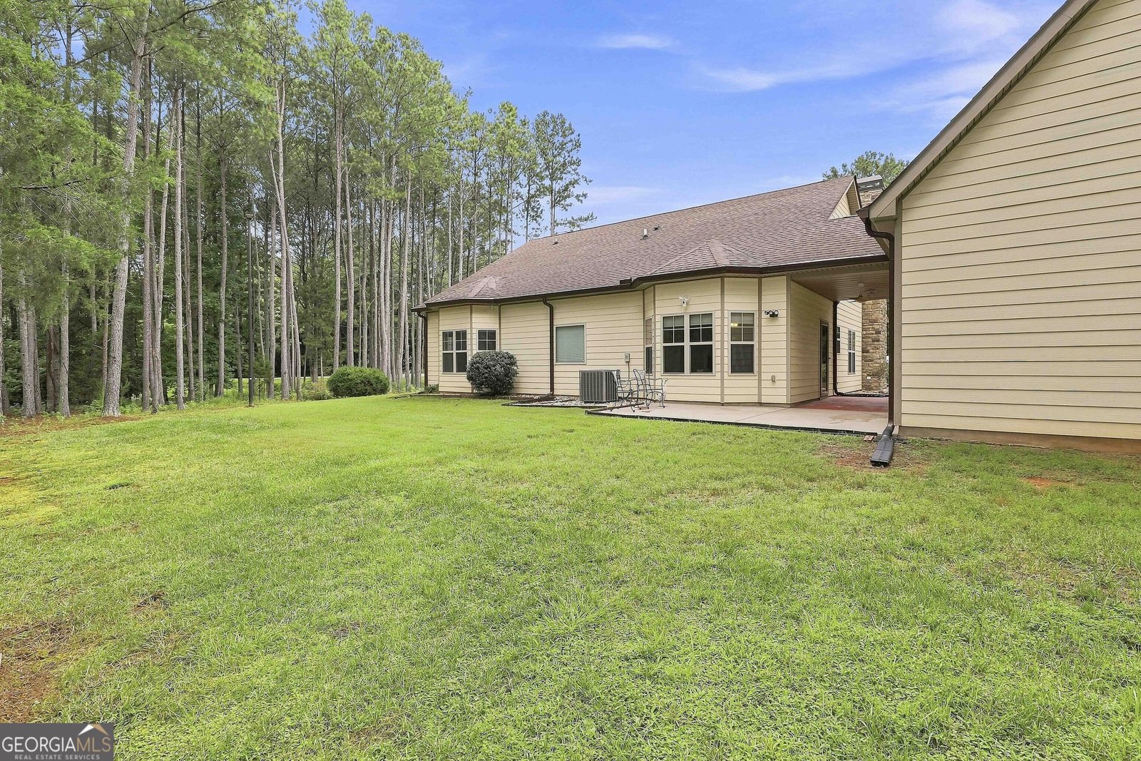 19 Rock House Estates Drive Senoia - Photo 59