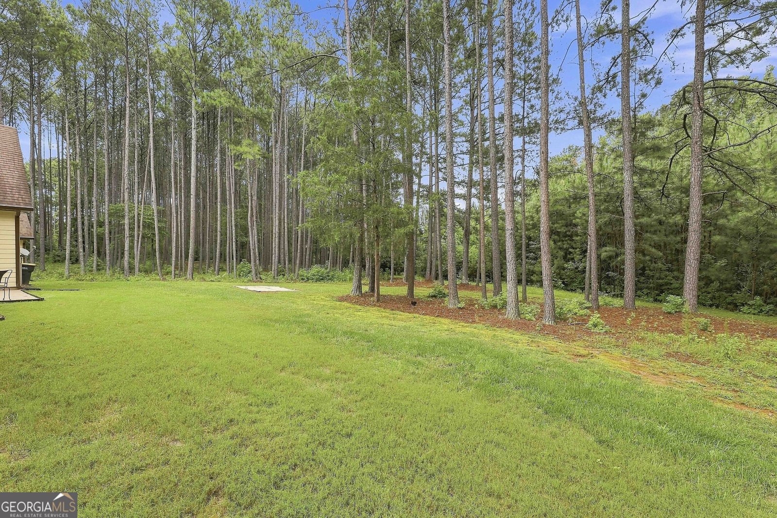 19 Rock House Estates Drive Senoia - Photo 61