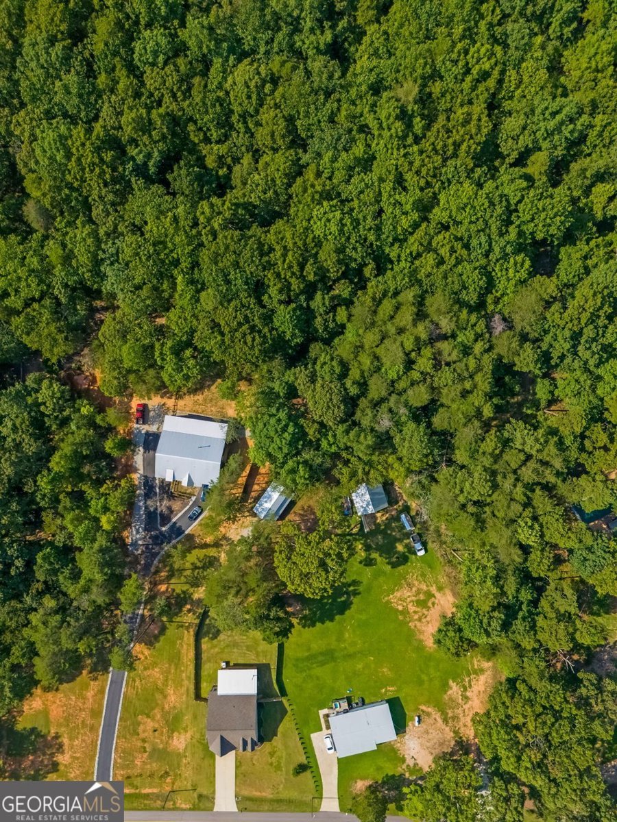 5466 Whitehall Road lula - Photo 39