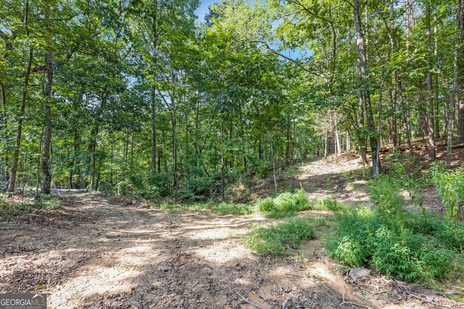 5466 Whitehall Road lula - Photo 43
