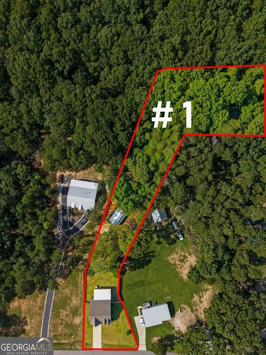 5466 Whitehall Road lula - Photo 44