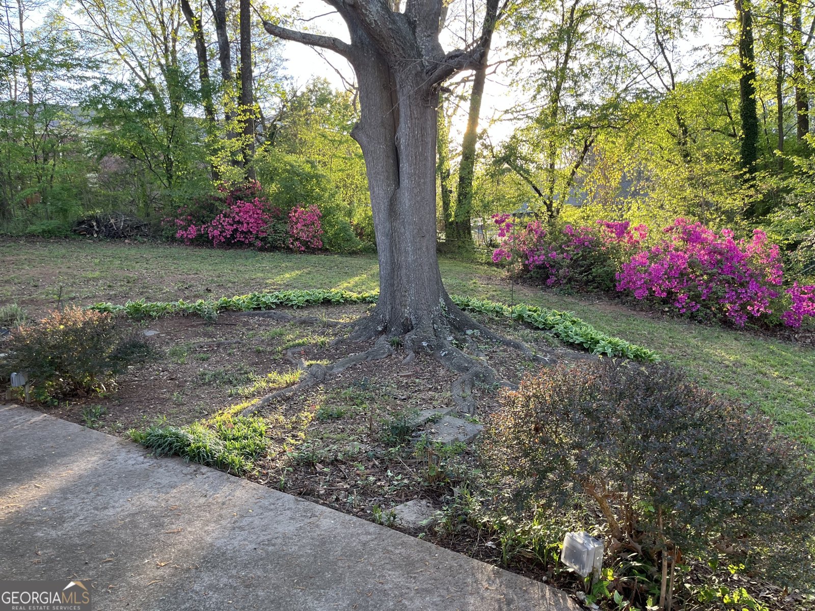 3650 Fred Walker Drive Smyrna - Photo 54