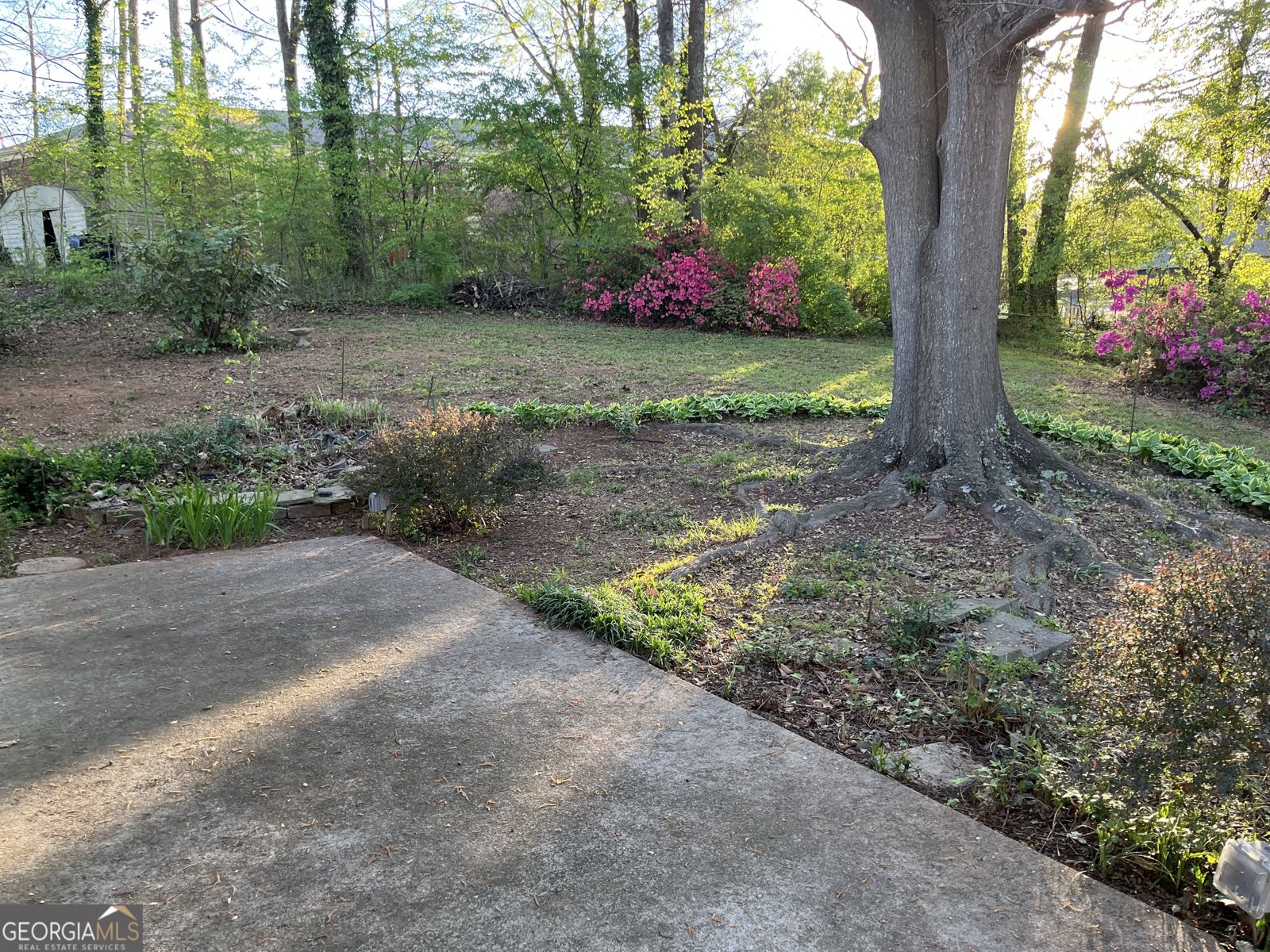 3650 Fred Walker Drive Smyrna - Photo 56