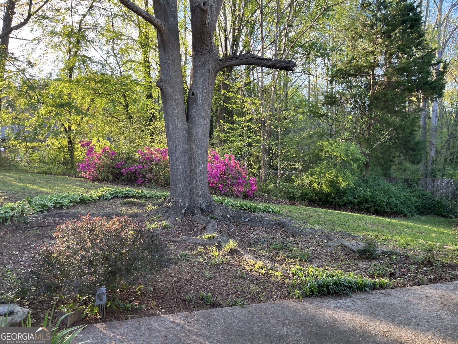 3650 Fred Walker Drive Smyrna - Photo 58