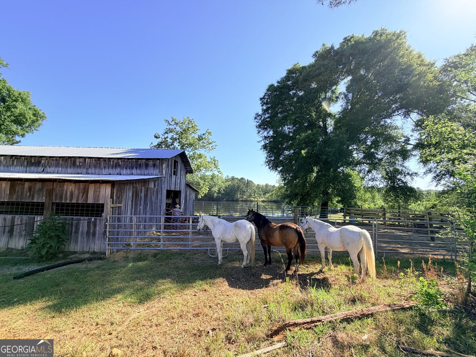 1525 Telfair Line Road Rhine - Photo 60