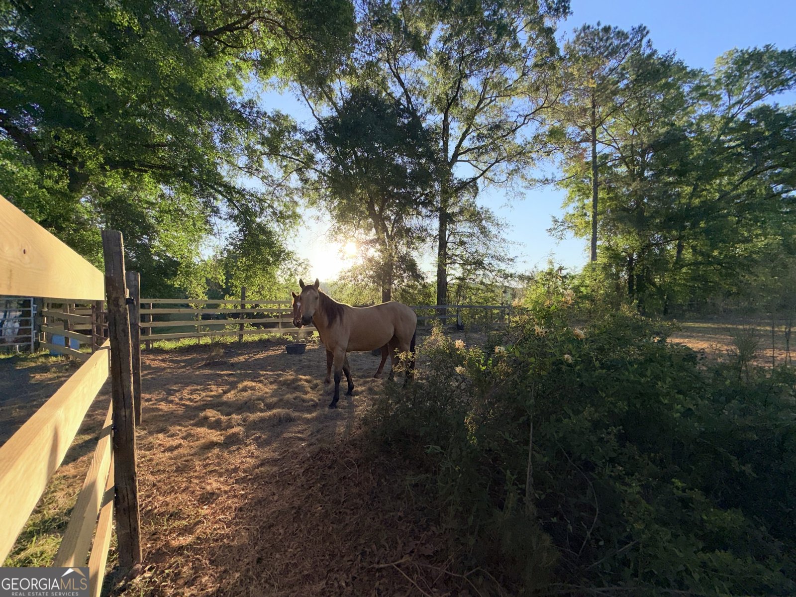 1525 Telfair Line Road Rhine - Photo 61
