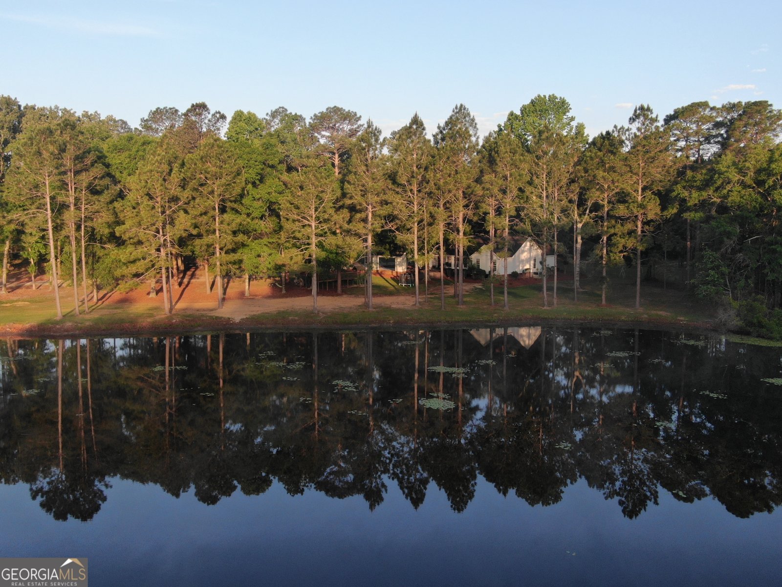 1525 Telfair Line Road Rhine - Photo 66