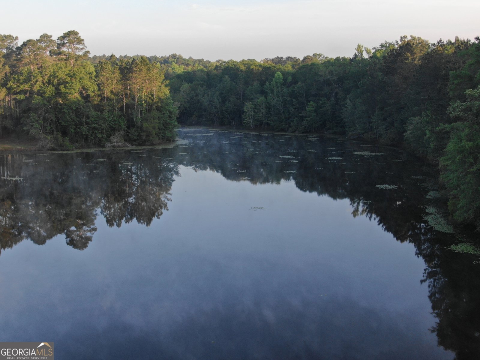 1525 Telfair Line Road Rhine - Photo 68