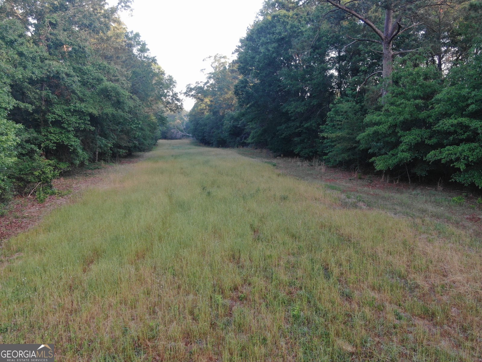 1525 Telfair Line Road Rhine - Photo 77
