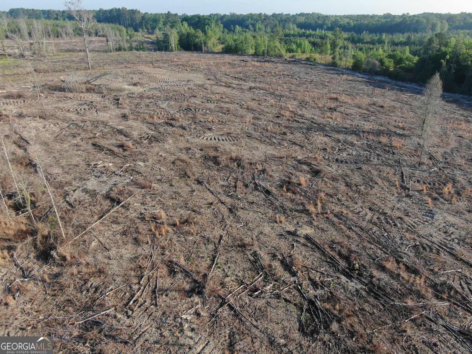 1525 Telfair Line Road Rhine - Photo 81