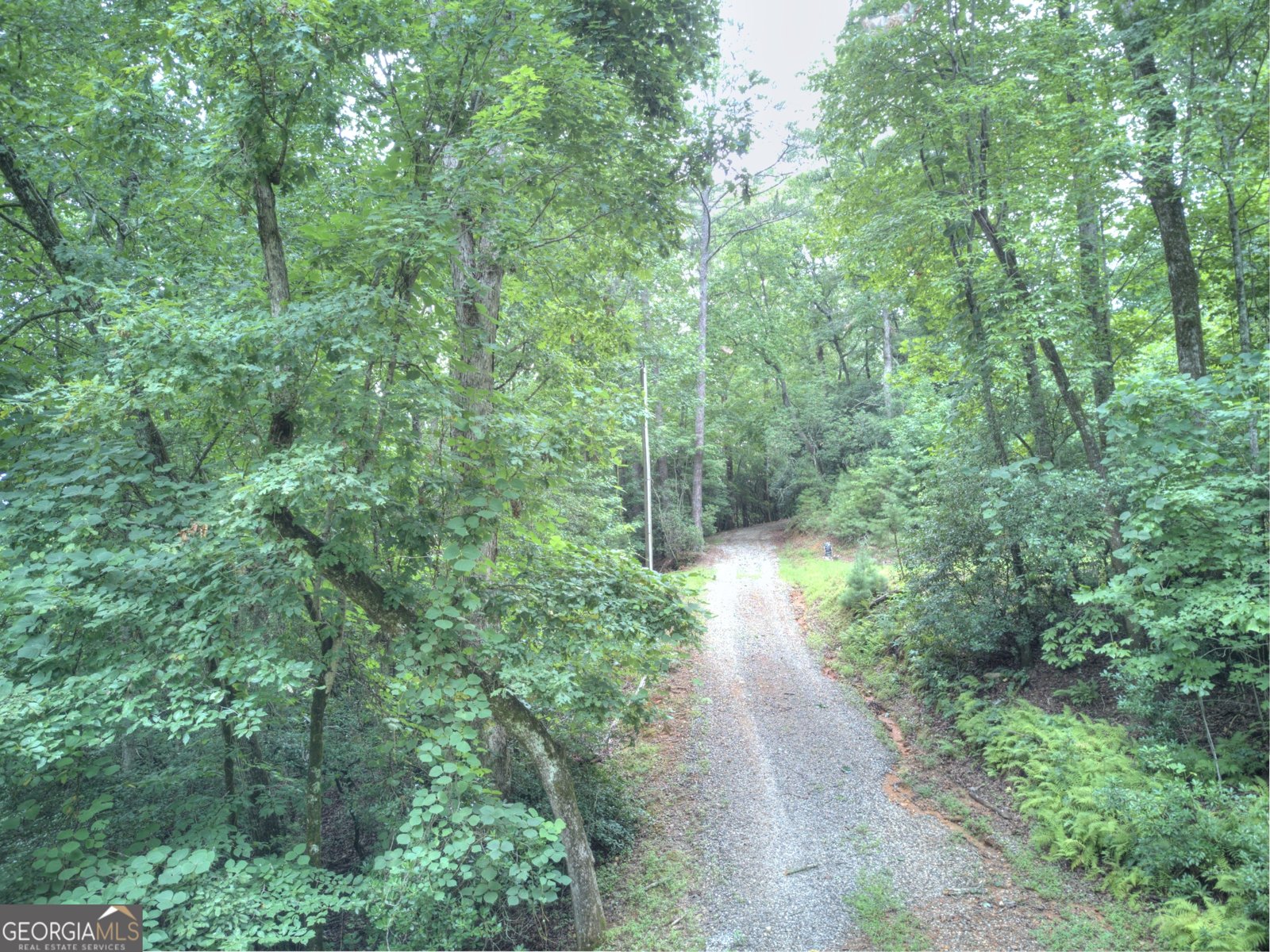 393 Loudsville Church Road Cleveland - Photo 22