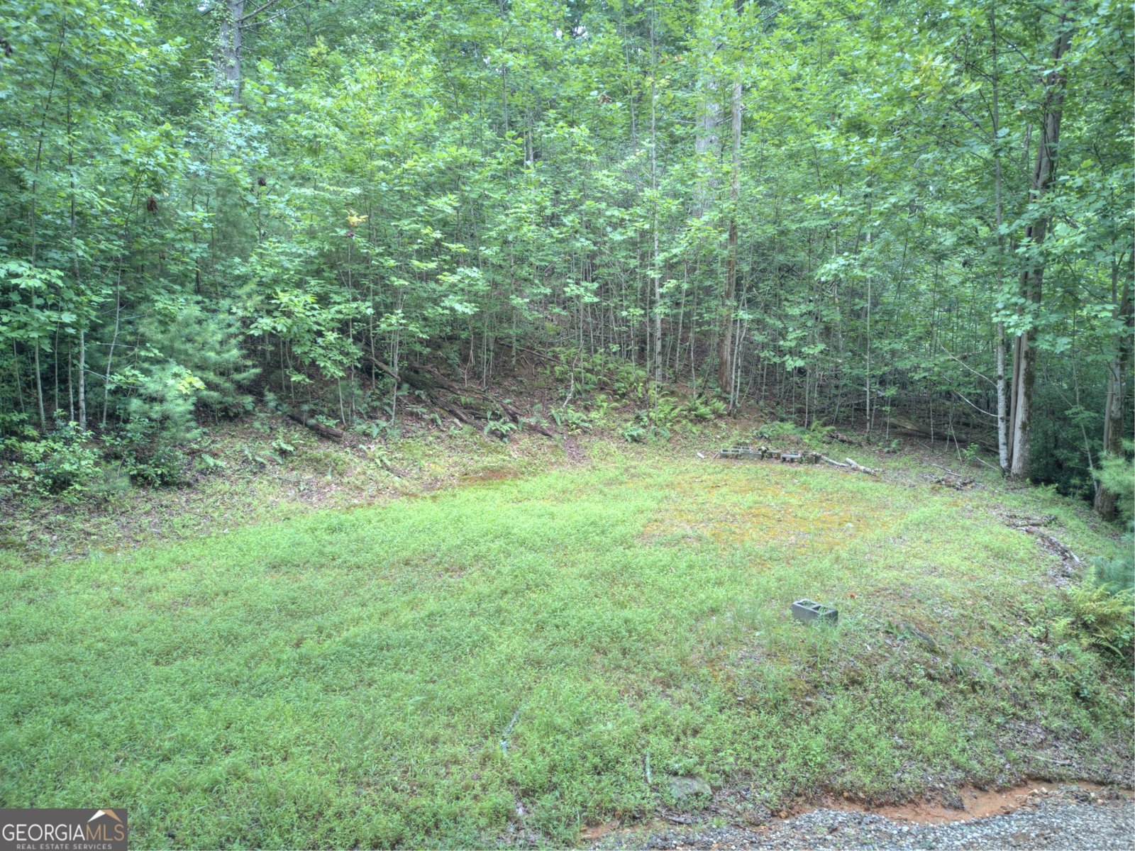 393 Loudsville Church Road Cleveland - Photo 23