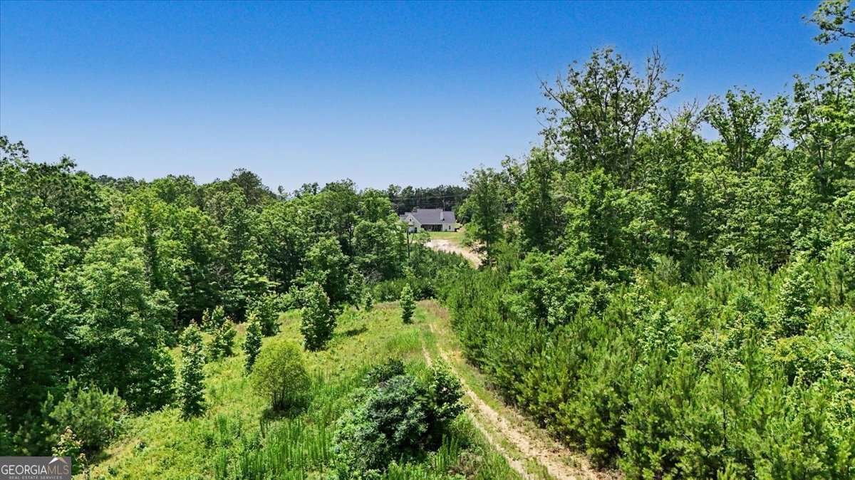 2700 Old Cartersville Road Dallas - Photo 59