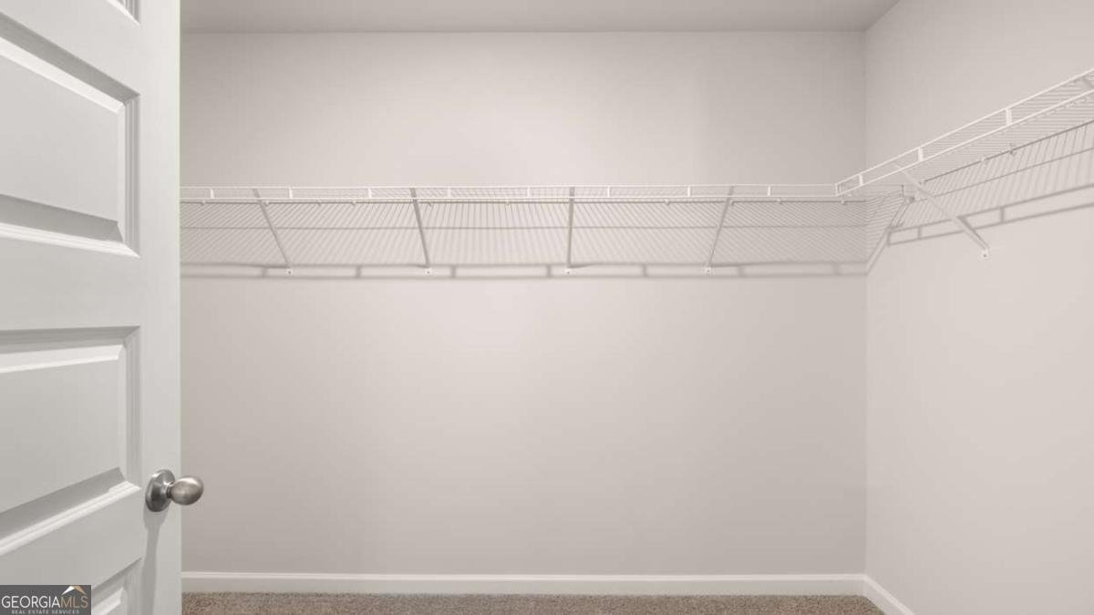 850 Trillium Drive Locust Grove - Photo 29