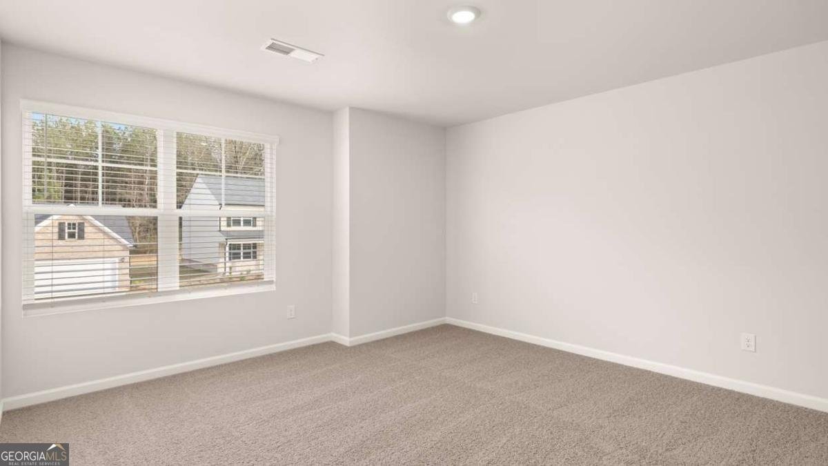 850 Trillium Drive Locust Grove - Photo 30