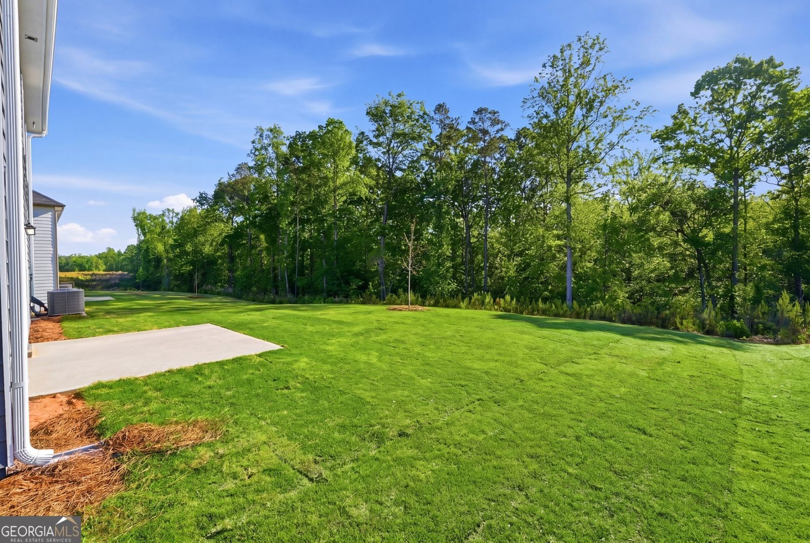 439 River Walk Farm Parkway Covington - Photo 25