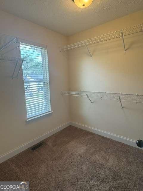 603 Cole Creek Drive Dallas - Photo 10