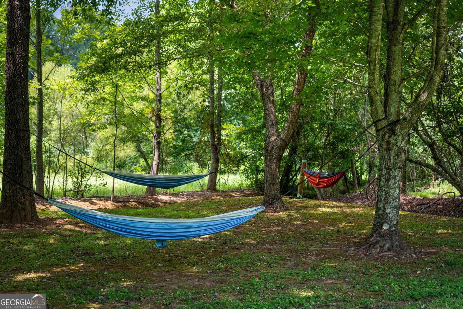 1571 Campbell Camp Road Blue Ridge - Photo 116