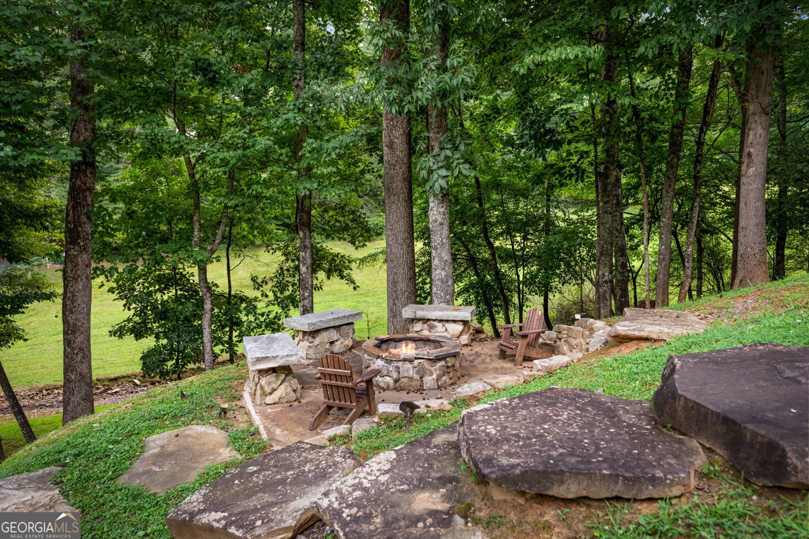1571 Campbell Camp Road Blue Ridge - Photo 66