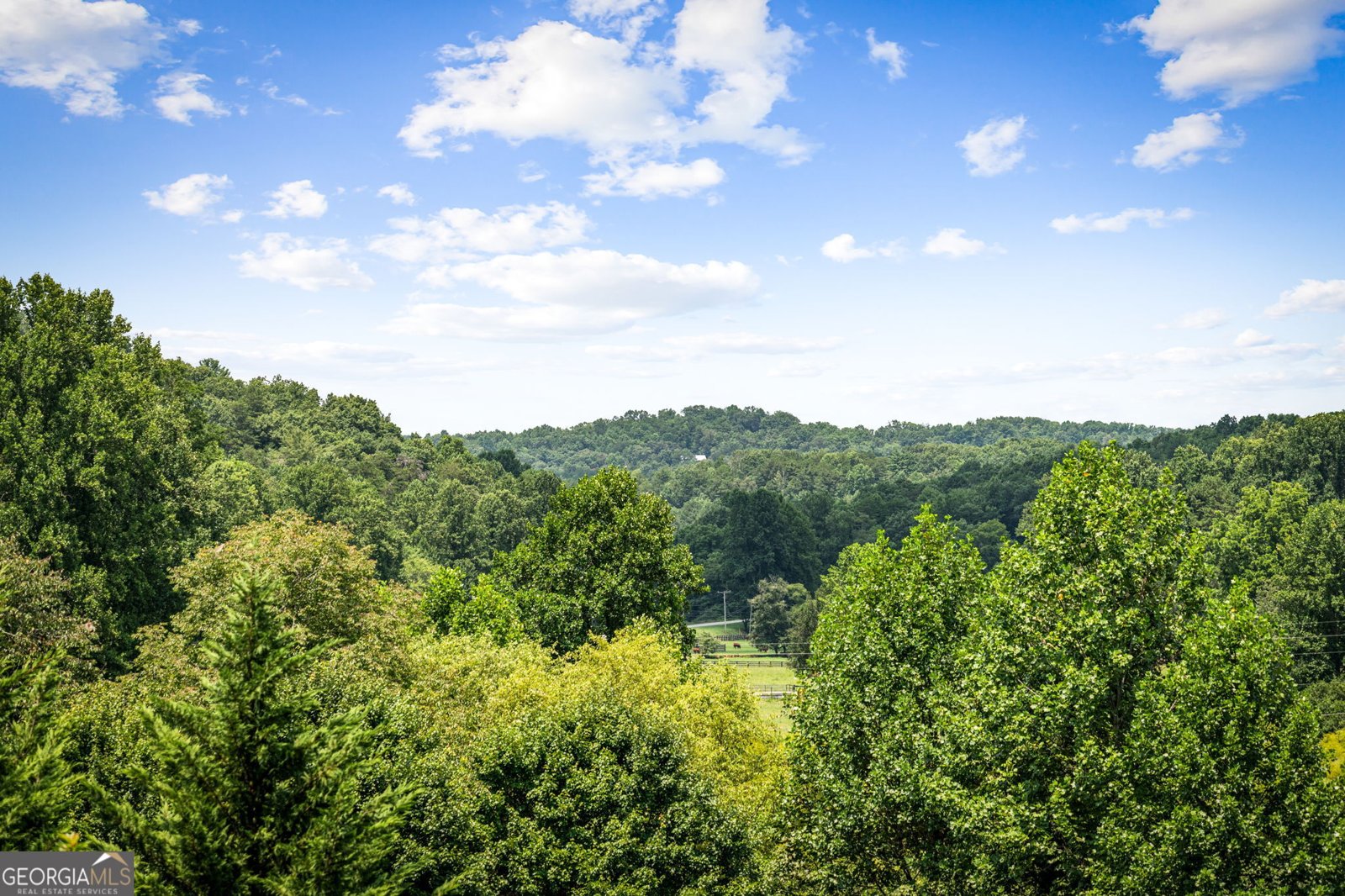 1571 Campbell Camp Road Blue Ridge - Photo 69