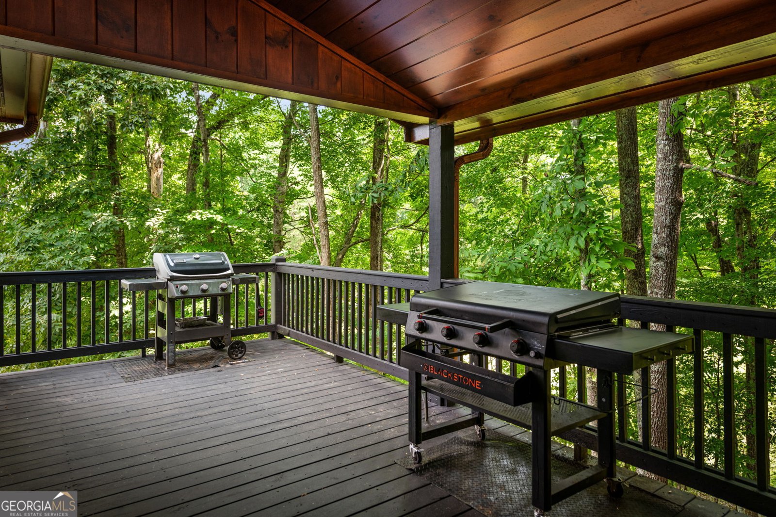 1571 Campbell Camp Road Blue Ridge - Photo 81
