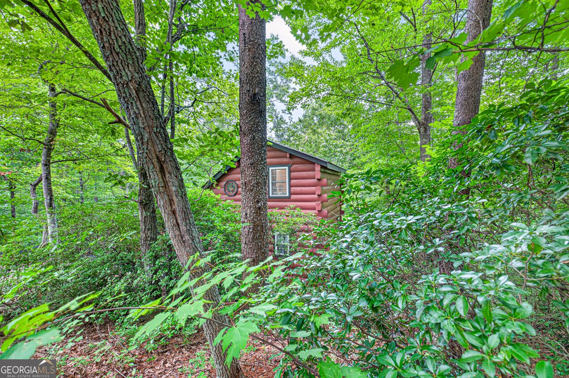 249 Monroe Ridge Road Sautee Nacoochee - Photo 38