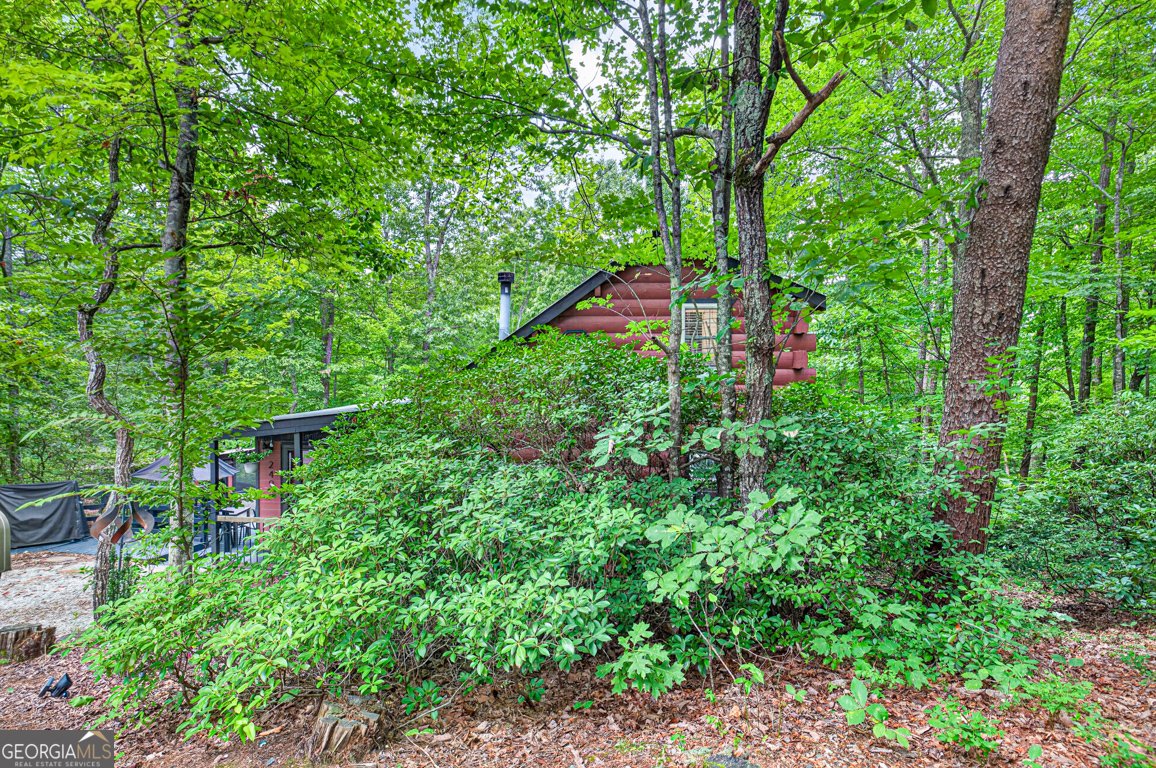 249 Monroe Ridge Road Sautee Nacoochee - Photo 39
