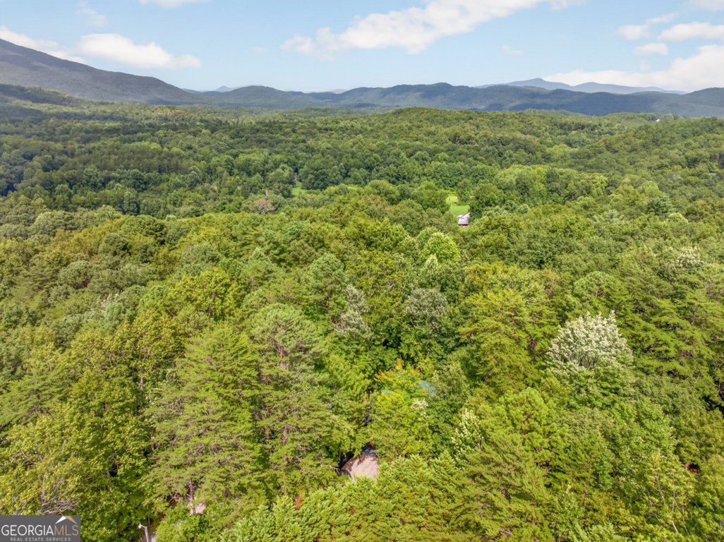 249 Monroe Ridge Road Sautee Nacoochee - Photo 48