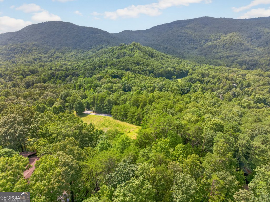 249 Monroe Ridge Road Sautee Nacoochee - Photo 49