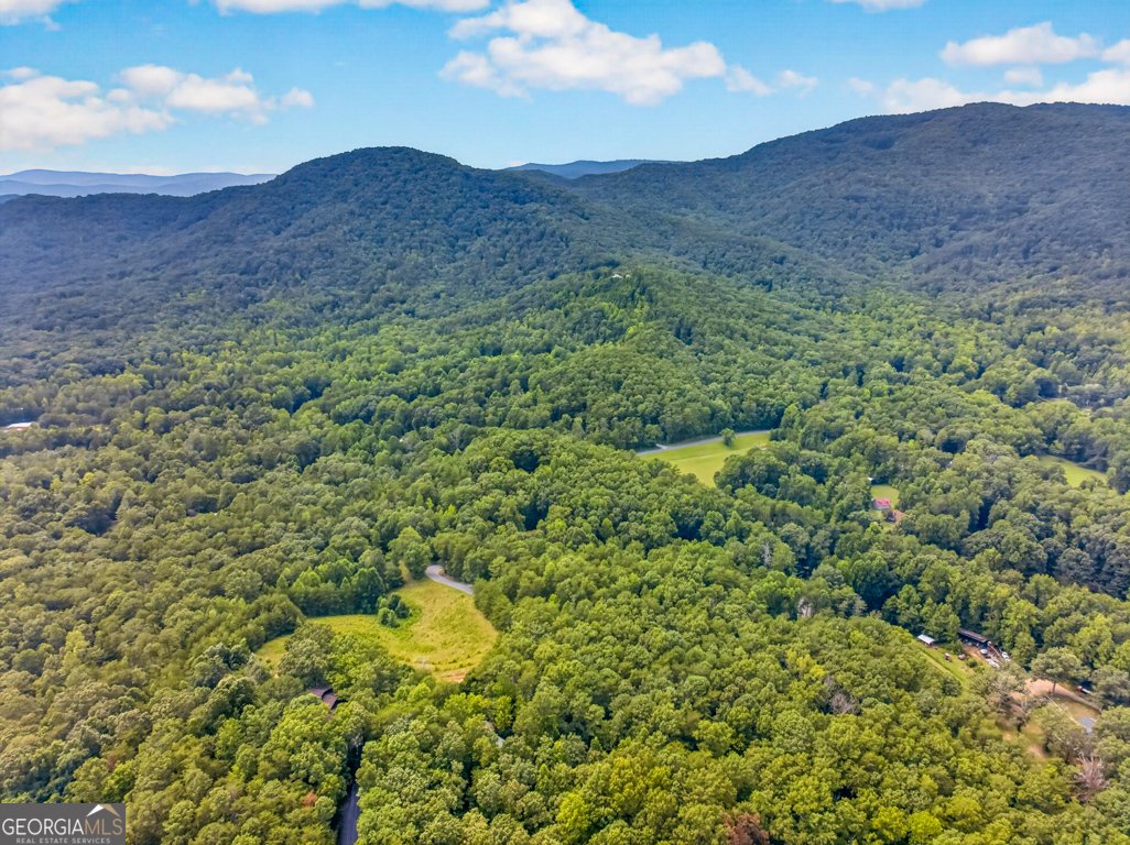 249 Monroe Ridge Road Sautee Nacoochee - Photo 50