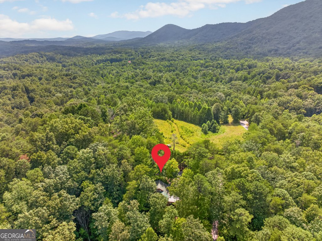 249 Monroe Ridge Road Sautee Nacoochee - Photo 51