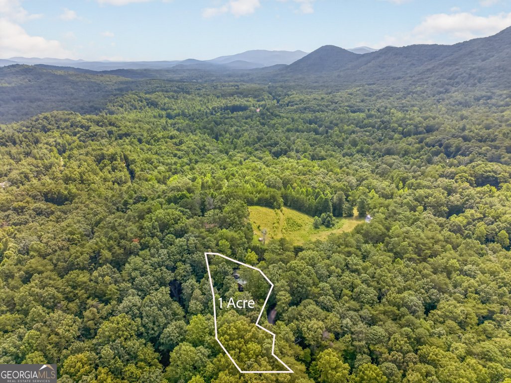 249 Monroe Ridge Road Sautee Nacoochee - Photo 52